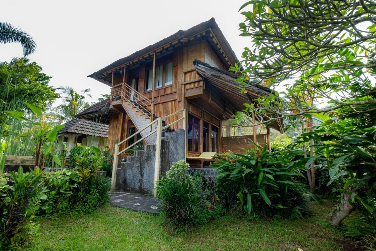 Villa Manuk Singaraja Exterior foto